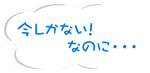 今しかない！なのに・・・